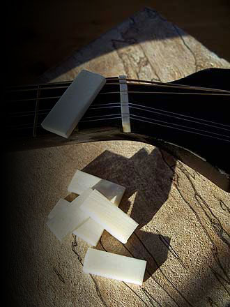 Parlor Guitar Service and Repairs